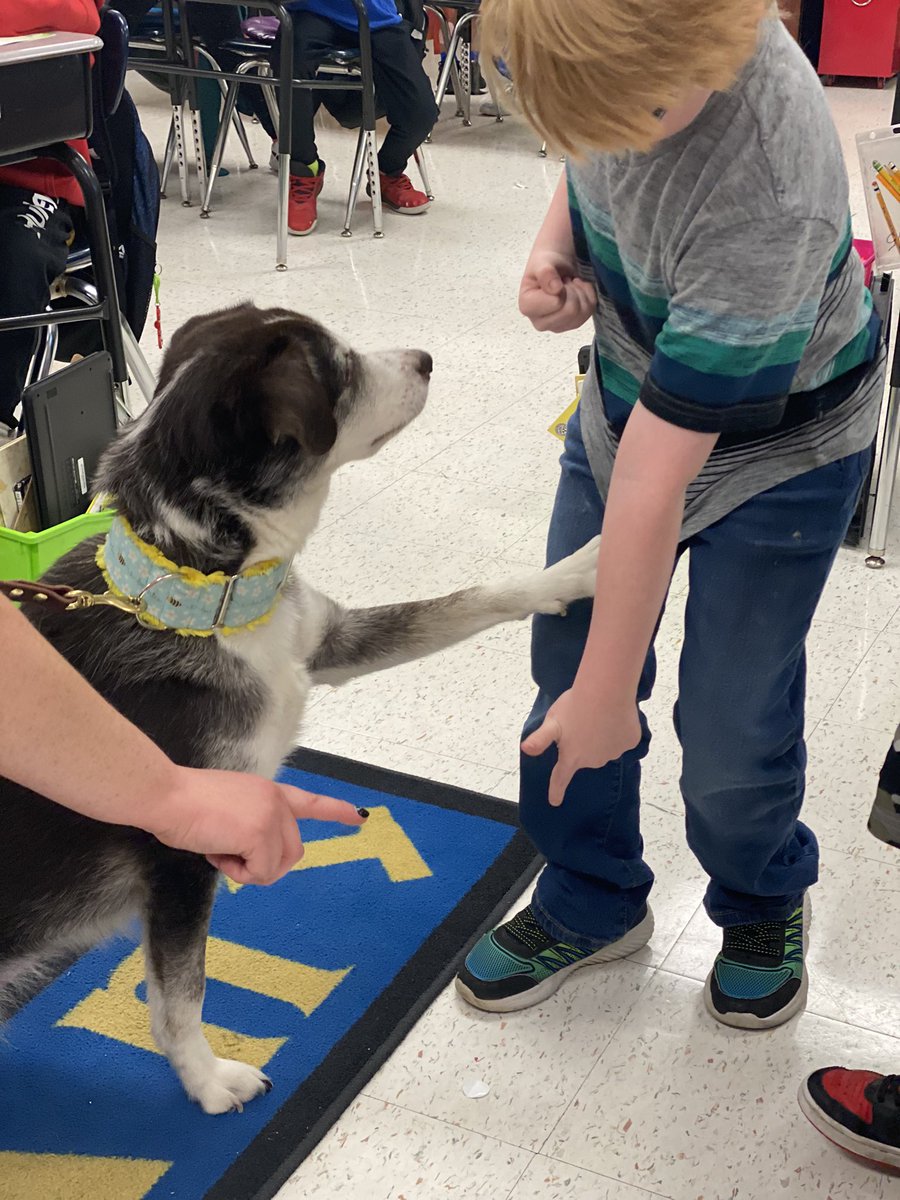 MrsKring's tweet photo. @WaysideWaifs You are amazing!! Thank you to Miss HB for the amazing lesson and visit with Bliss.🧡 🐾 @ISDSchools #lufflions #luffpride https://t.co/GxbneAo9MB