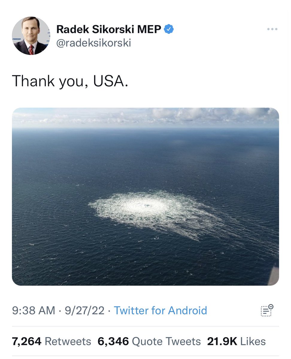 Cernovich tweet media