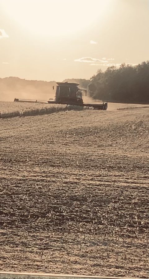 Channel_Indiana's tweet image. Who doesn’t love pulling up to a field and seeing some killer @RRXtend beans getting cut?💪🏼 #bayerup #harvest22 #channelseed @Bayer4CropsUS @Bayer4Crops