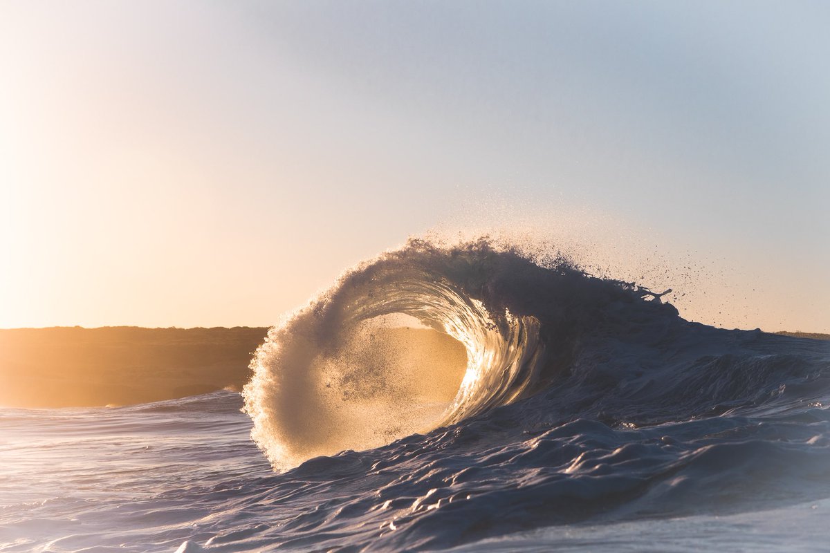 Luke Barker tweet media