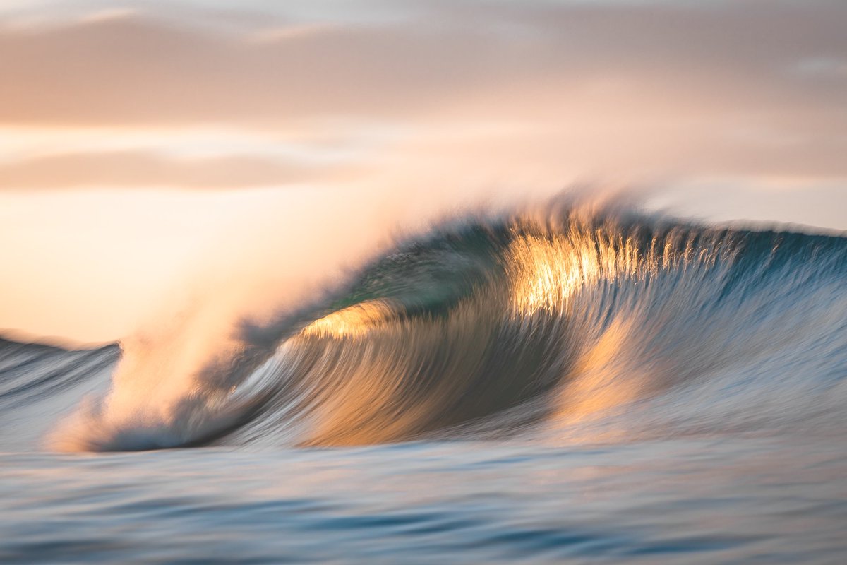 Luke Barker tweet media