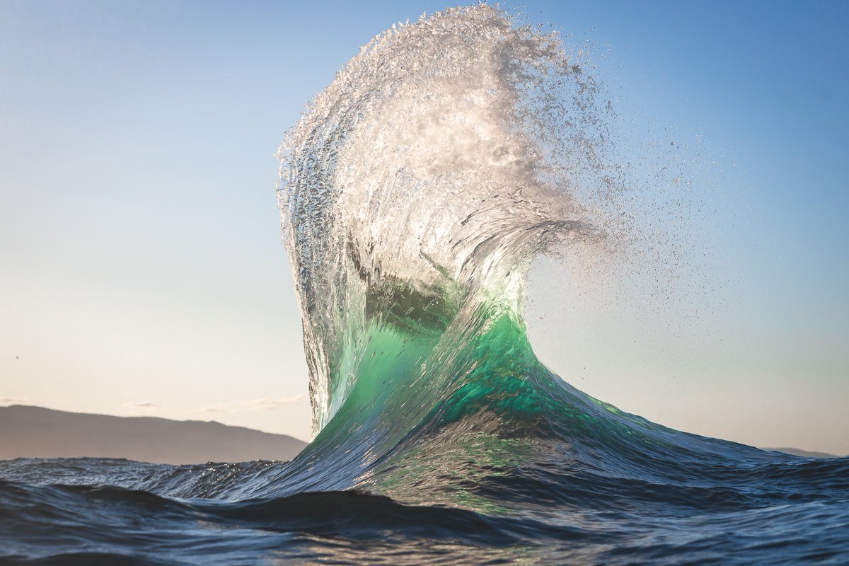 Luke Barker tweet media