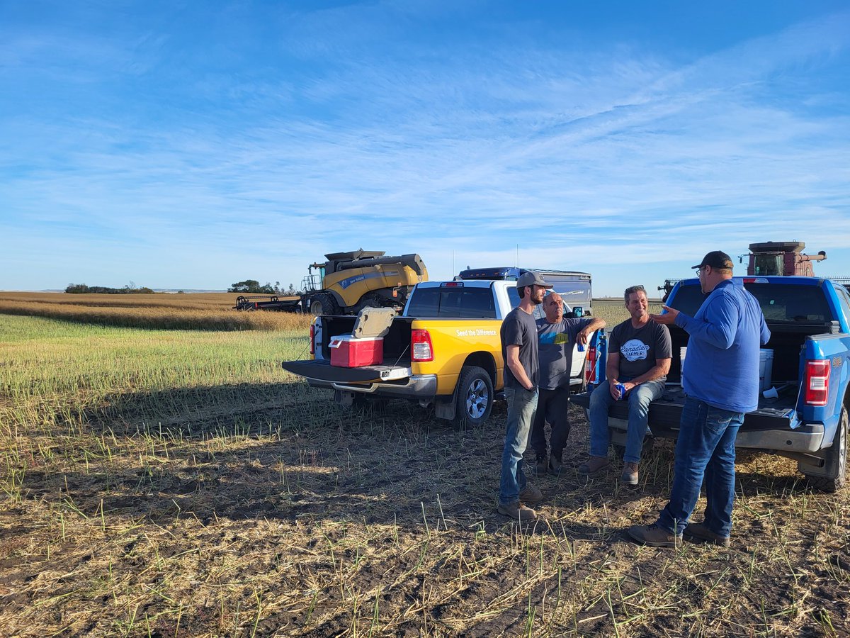 Page__Newton's tweet photo. @canterraseeds #canola #trialwork today @cardiff_mason @SynergyAGGovan I got to ride in the pretty red one! Pretty pleased with the results! #westcdnag #harvest22 Yellow one was on clean up crew! Spot the #ProudCdnFarmer T-shirt! https://t.co/JBroVz2SwW