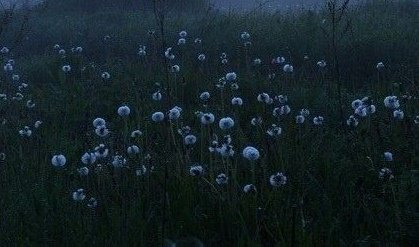 ⠀⠀⠀⠀⠀ 
 ⠀⠀⠀⠀⠀⠀  ⠀ nishinoya yū
 ⠀⠀⠀⠀⠀like ╱ rt  to be mutuals
 ⠀⠀⠀⠀⠀⠀ #haikyuu — #hqrp
ㅤㅤ