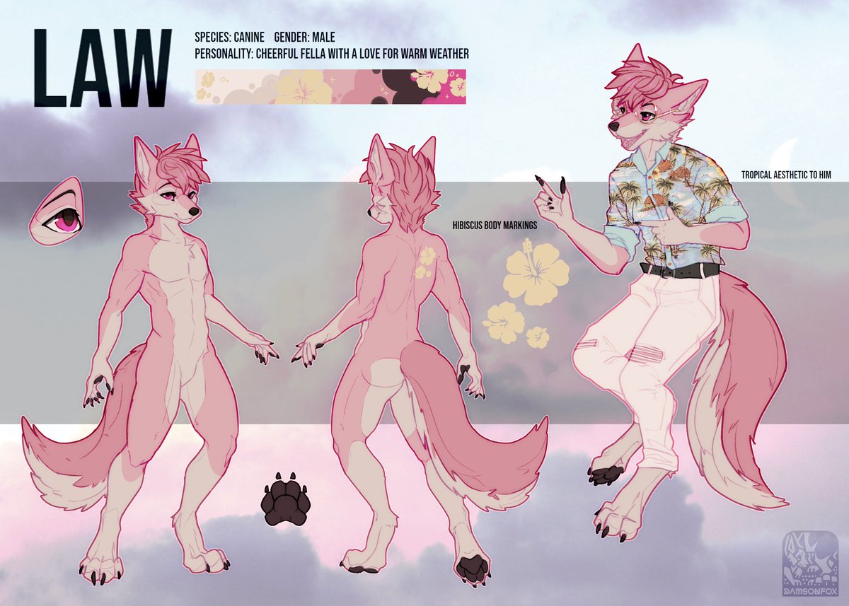 Law 🐀 tweet media