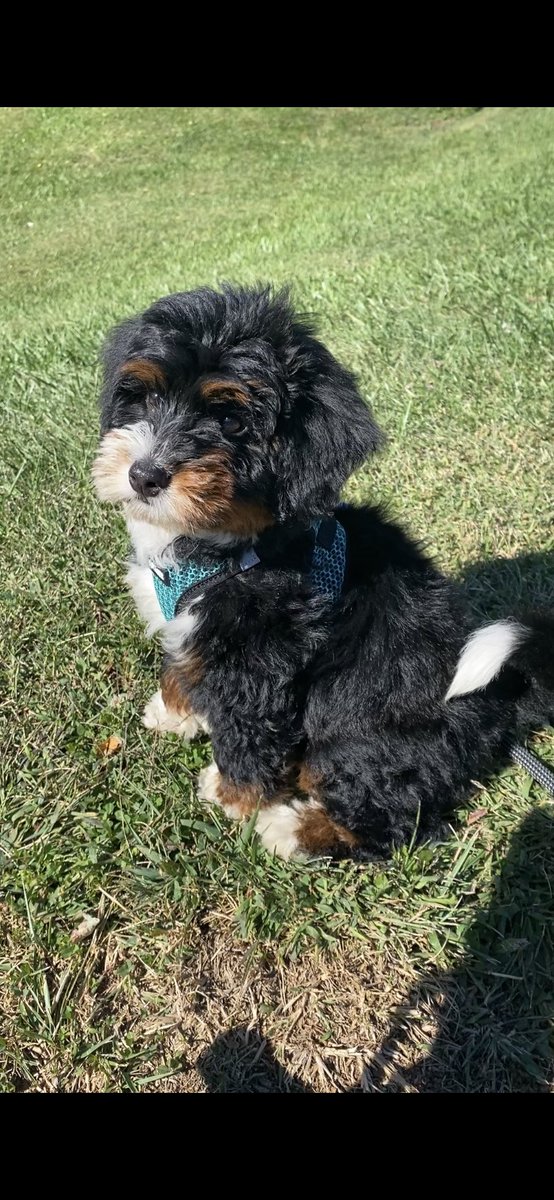 9 weeks old and growing by the minute 🥹