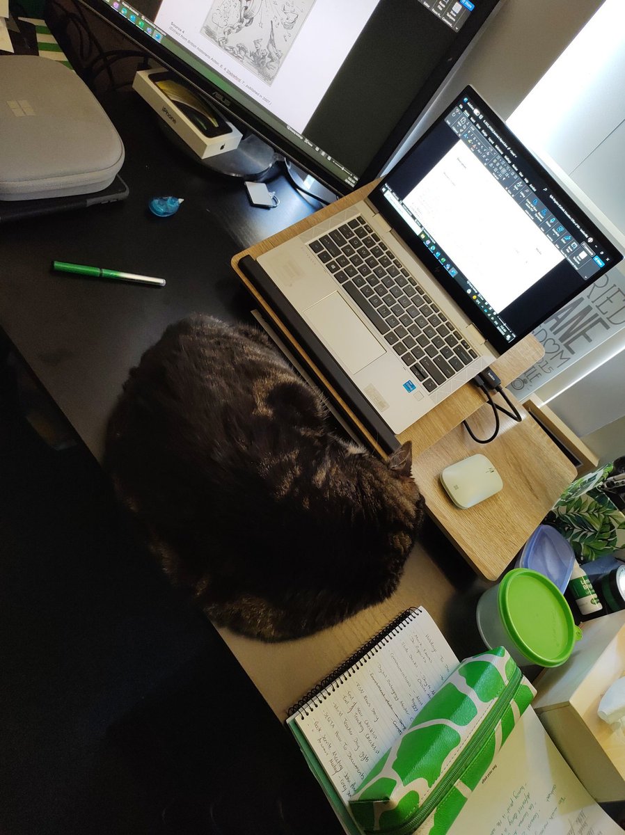 MrsKK8's tweet photo. I get up for two minutes to stretch my legs after doing some marking. I return to this.

Didn't need my desk to mark comfortably...thanks Raz.
#CatsOfTwitter #ExamMarking #History https://t.co/VytkVRC5mw