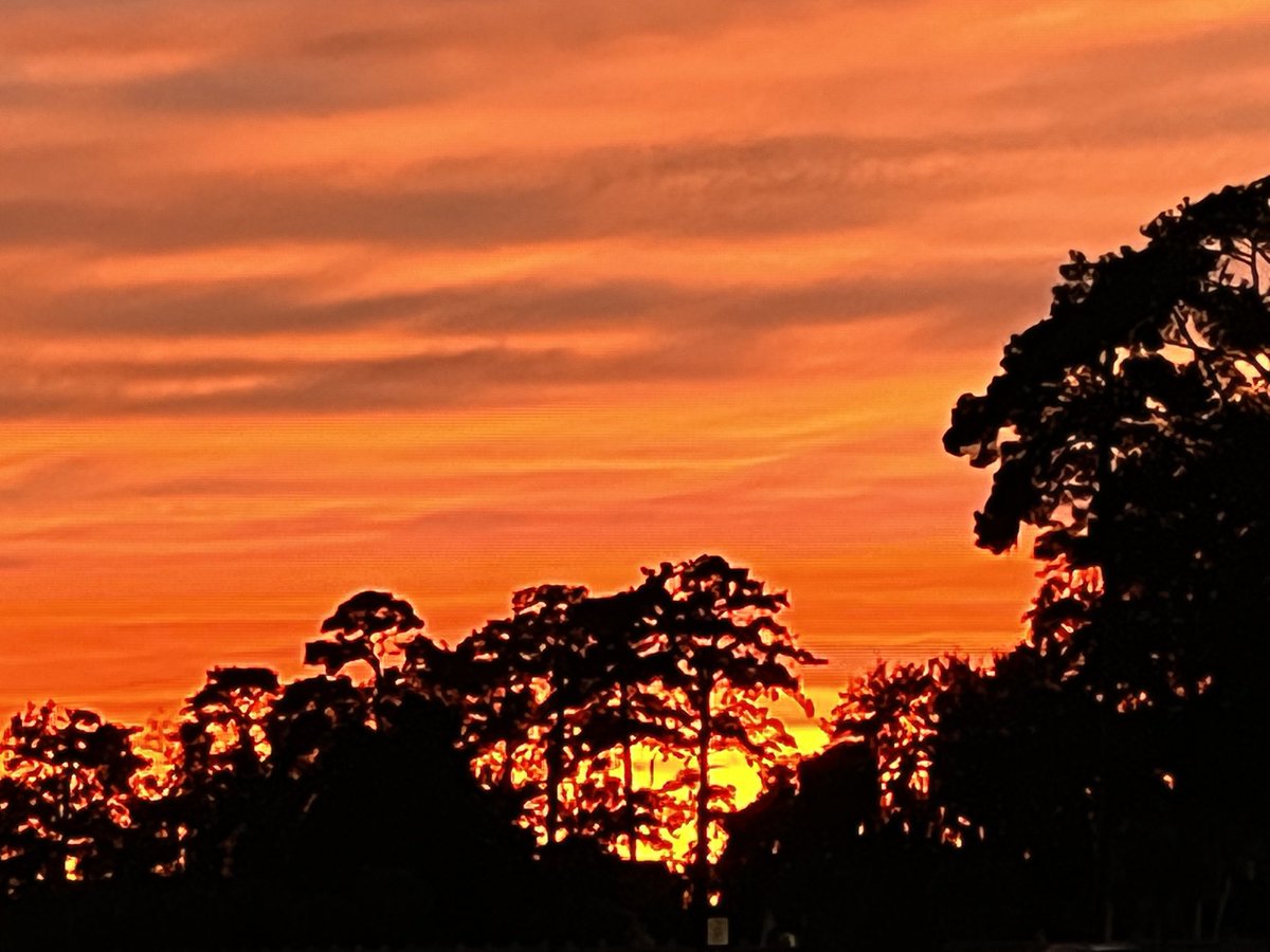 PattyTurnerTV's tweet photo. Wow! Stunning sunset In Savannah! ⁦@WSAVKrisA⁩ ⁦@WSAVAlysaC⁩ https://t.co/VjYc6luqA8