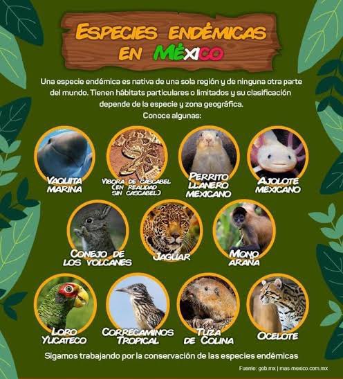 El #turismo destaca los recursos culturales, naturales y patrimoniales de un país; generando valor y riqueza, que promocionan y comercializan de forma sostenible de mejorar el desarrollo socioeconómico de las poblaciones locales en los destinos y la conservación de los recursos.