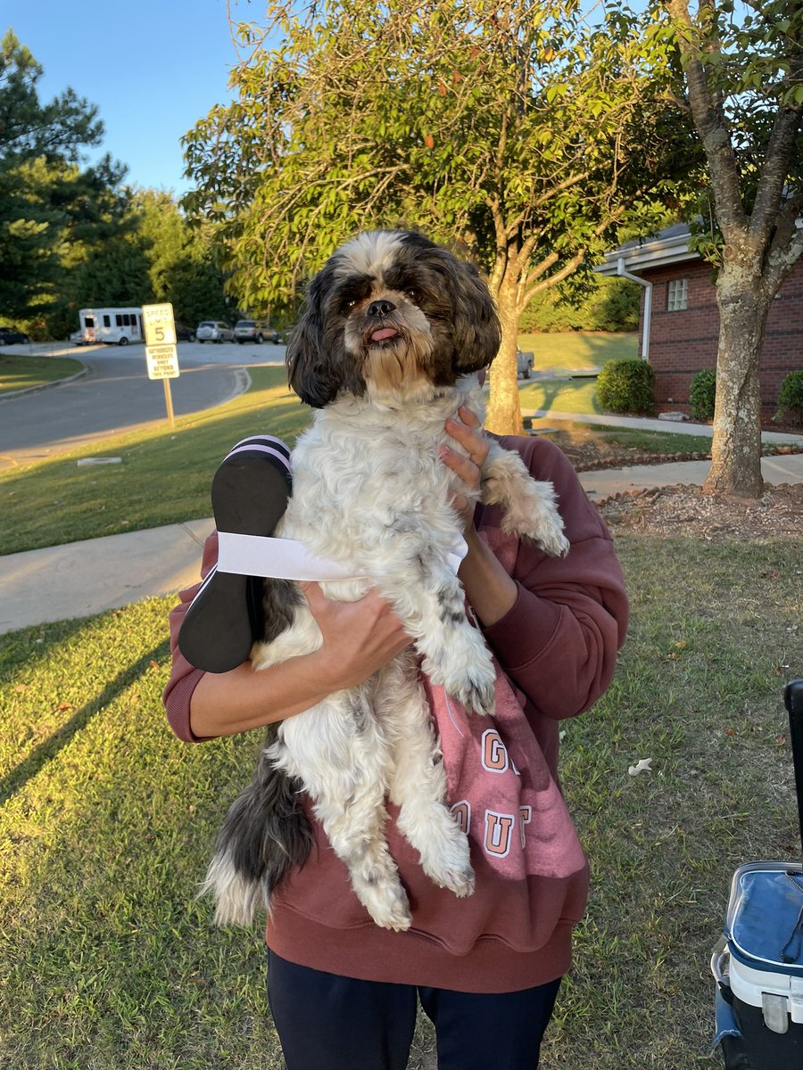 Anything but a swim bag practice did not disappoint! 🤣 #swimteambestteam #lapdog