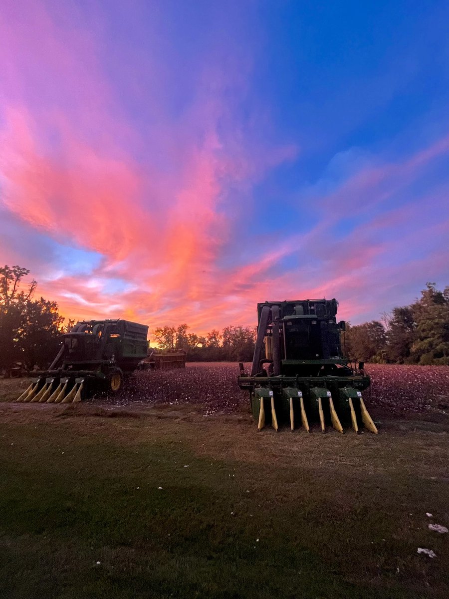 The calm before the storm 🙏🏻
Be gentle to us in South Georgia Ian! #georgiacotton #hurricaneian