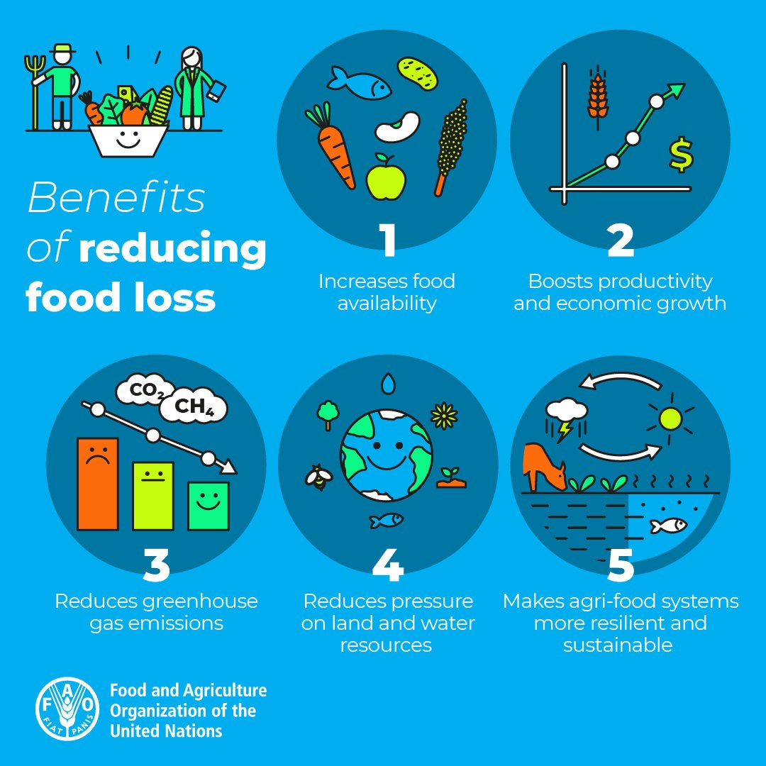 The International Day of Awareness of Food Loss & Waste is tomorrow. Around 14% of the world's food is lost after harvest.

Read more here - fao.org/international-…

#TourismAndClimate #foodwaste 

Here are 5 reasons why we need to reduce #FoodLoss 👇🏾 @FAO