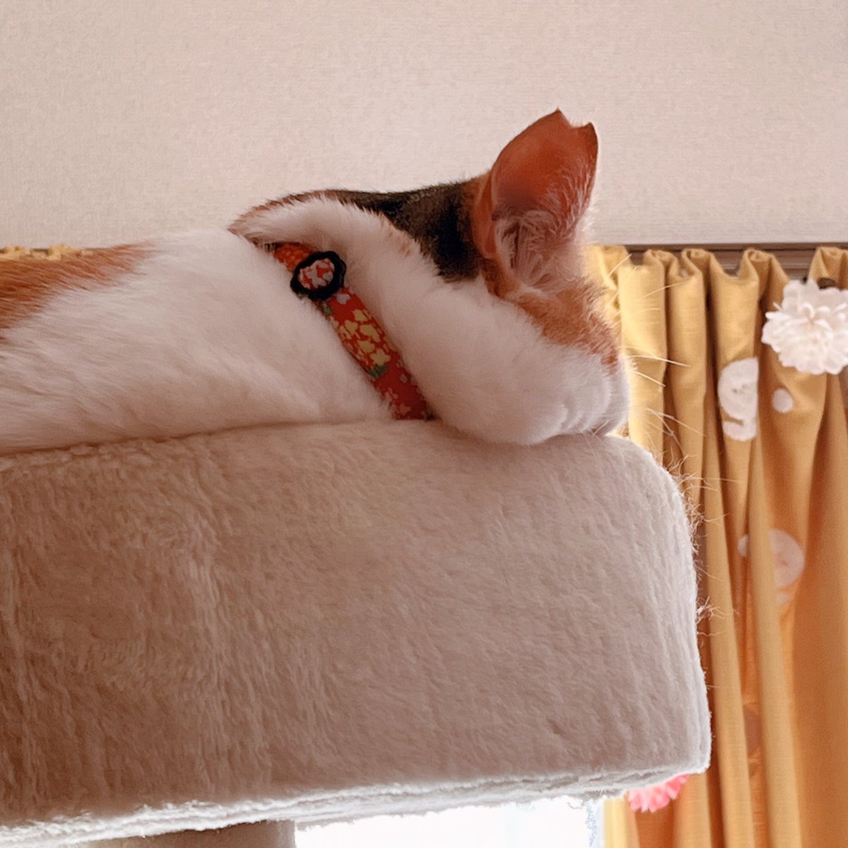 59日目
 #クロッキー筋トレ

はみ出たもちほっぺにいつも吸い寄せられてしまう(気づかれた) 