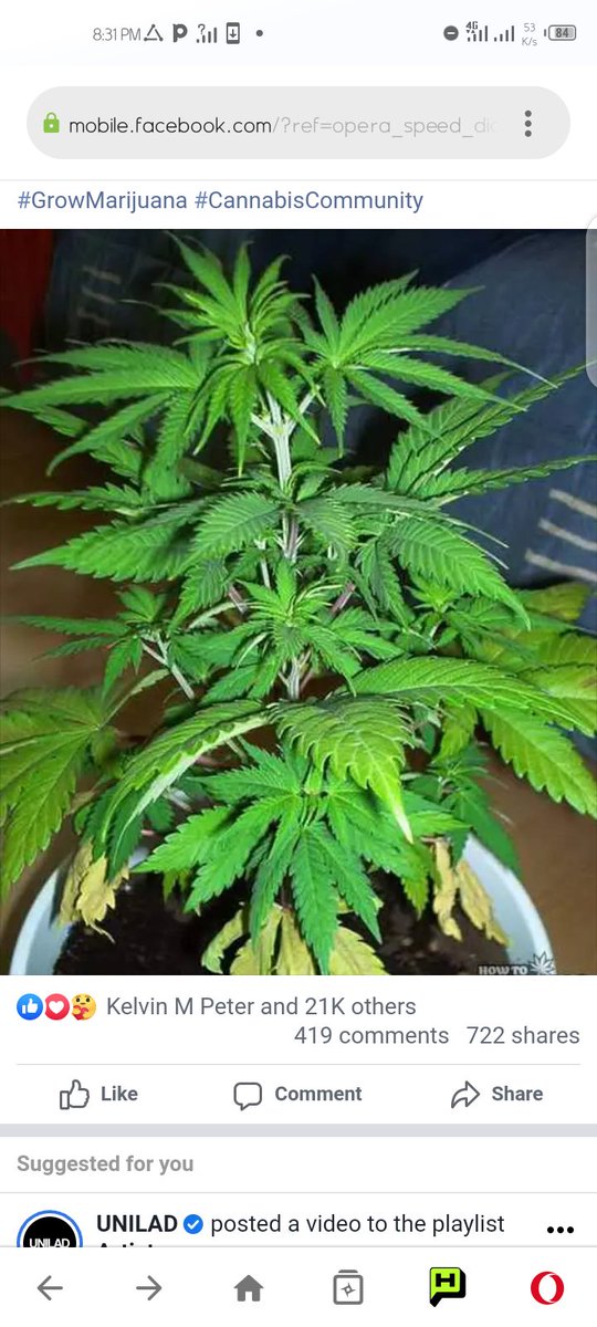 Snitch (@set0015) on Twitter photo 