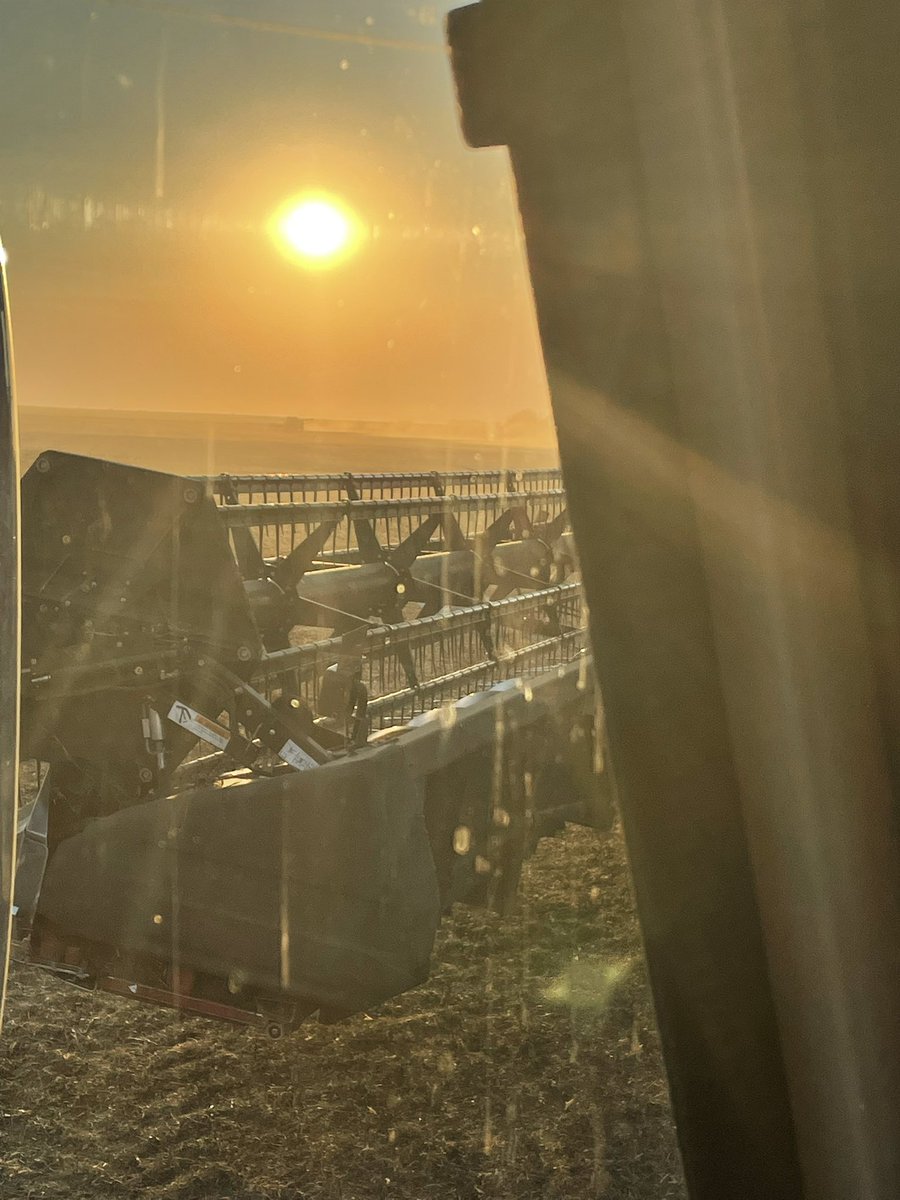 Freckles197529's tweet photo. 6 week grind is done. Spring frost to late season hail that threw off harvest. #harvest22 is in the bin. On a good note hubby & I saw amazing sunsets that made it all worth it @dennissittler @Jmitchell147 @cheryl_clhowie @jcube64 @PQuinlanGlobal #harvest22 #rediron #case #sask https://t.co/W24CisXJb9