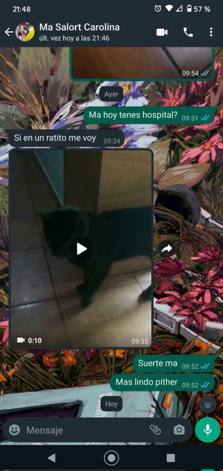 Mi vieja me manda videos de los michis mientras estoy en el laburo asi no los extra&ntilde;o. https://t.co/<a href="/tag/elbananero"class="tags"><span>#elbananero</span></a>
