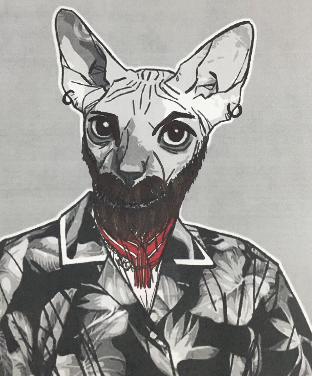 KEONIDAS's tweet image. Estaré muy grande y viejo para michi pero no michi de todos