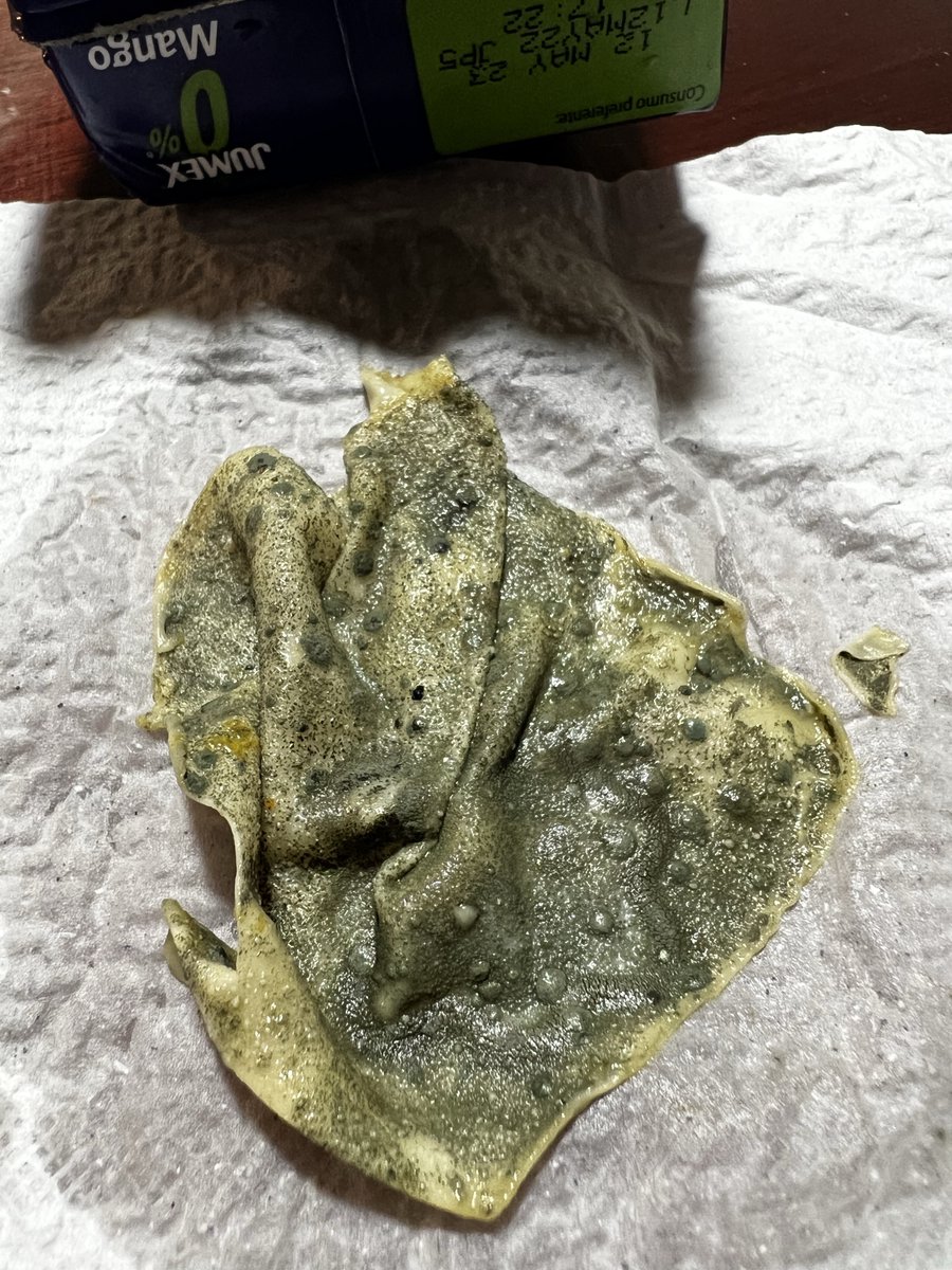 pacoswitch's tweet photo. @OficialJumex súper asqueado por qué eso lleno de moho salió de mi botella de Jumex 0. 😡 https://t.co/n3YZw0OwpG