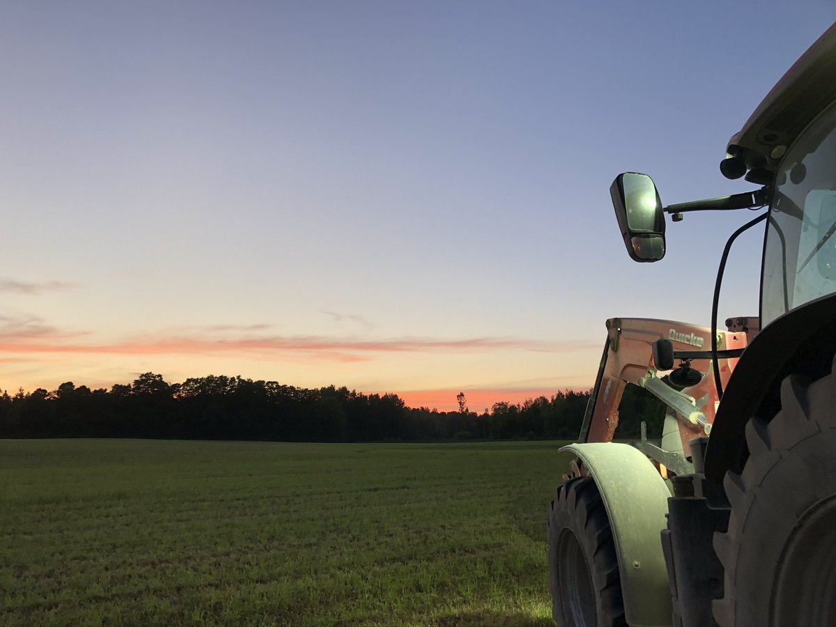 Some of my favorite sunset pics