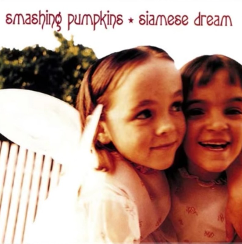 #LifeInSongs
Day 28 Old

'The killer in me is the killer in you'

Disarm - Smashing Pumpkins
youtu.be/x5GG_fr8WyM

'I used to be a little boy
So old in my shoes
And what I choose is my choice
What's a boy supposed to do?'