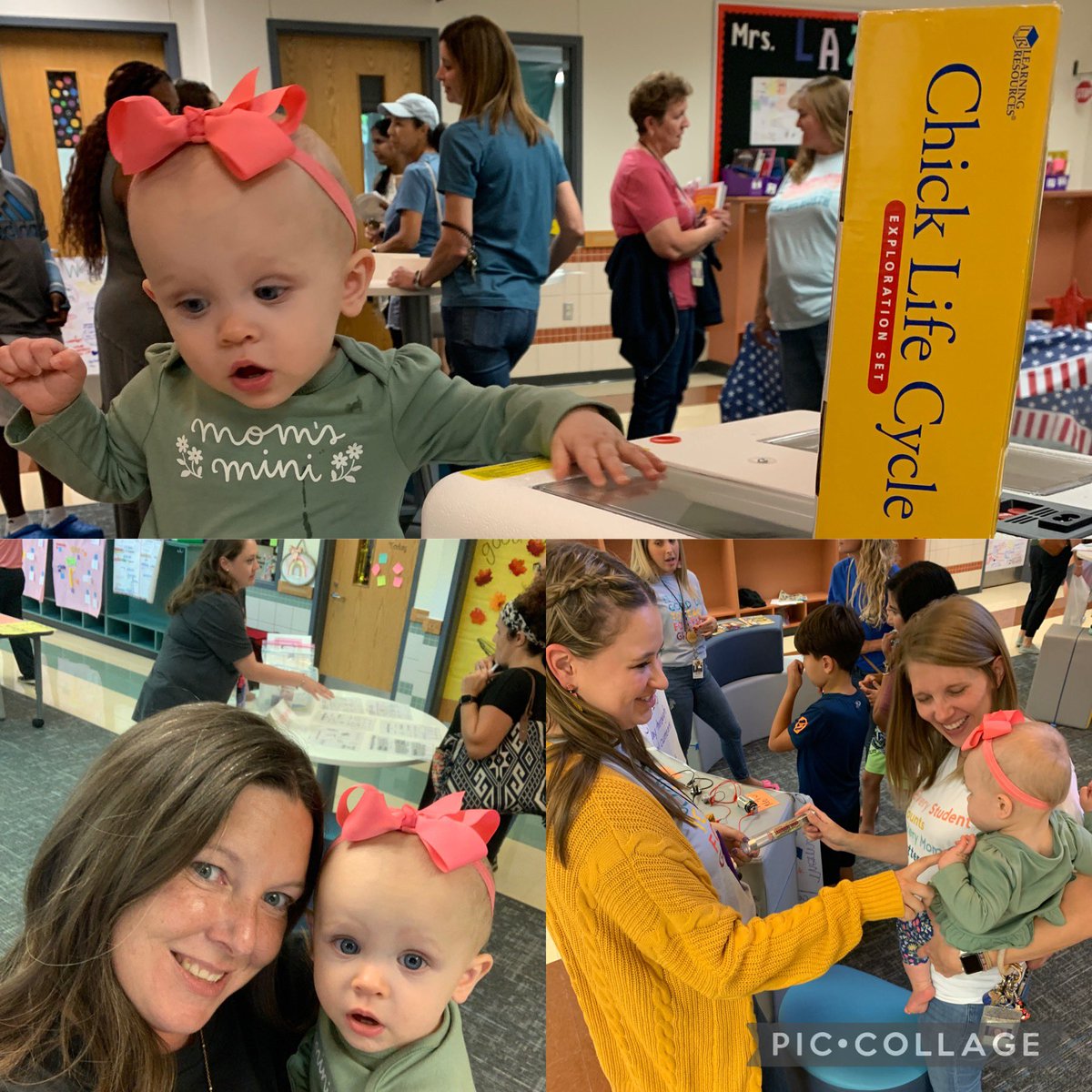 Jen Renfro (@jenrenfro2) on Twitter photo Curriculum night <a href="/AshleyElem/">Ashley Elementary</a> is complete! Loved showing parents the K-5 progressions across all content areas and enjoyed my extra helper support. <a href="/KascieBtheAP/">Kascie Blough</a> <a href="/KFrankson3/">Kim Frankson</a> <a href="/MrsCardell615/">Mary Cardell</a> #FISDmadetoshine Curriculum night <a href="/AshleyElem/">Ashley Elementary</a> is complete! Loved showing parents the K-5 progressions across all content areas and enjoyed my extra helper support. <a href="/KascieBtheAP/">Kascie Blough</a> <a href="/KFrankson3/">Kim Frankson</a> <a href="/MrsCardell615/">Mary Cardell</a> #FISDmadetoshine