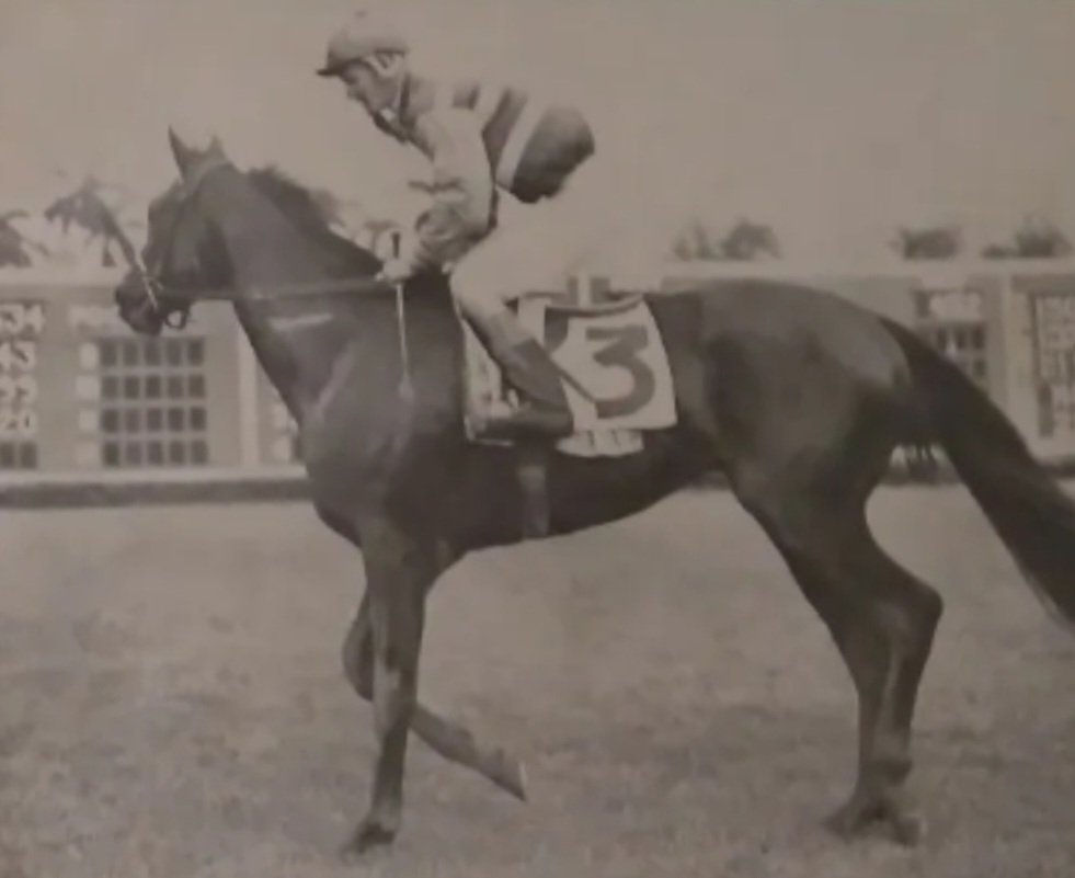 HORSERACING1002's tweet image. CARRY BACK 🇺🇸(SAGGY)#CarryBack 
A Stakes winner 🏆 in USA. 1961 Kentucky Derby Preakness Stakes 🏆. Champion 3yo Colt. Sired 10 sw. Stood Dorchester farm and Ocala Stud.