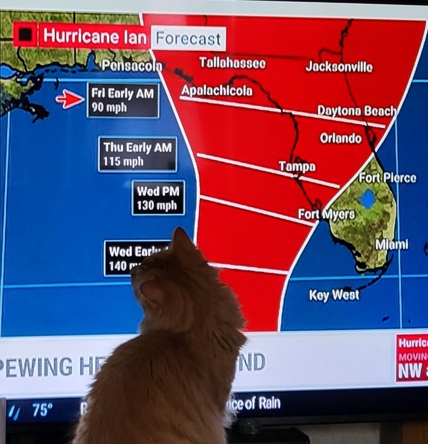 HPRESQ's tweet photo. @TWCAlexWilson @weatherchannel #Ian 
Hurricane Ian is going bring dangerous storm surge and damaging strong winds.
STAY SAFE KEEP YOUR PETS SAFE. THEY ARE FAMILY.  
Your meowterologist Jordan 
@HPRESQ
 #hurricanepetsrescue https://t.co/zXWuIpw6TJ