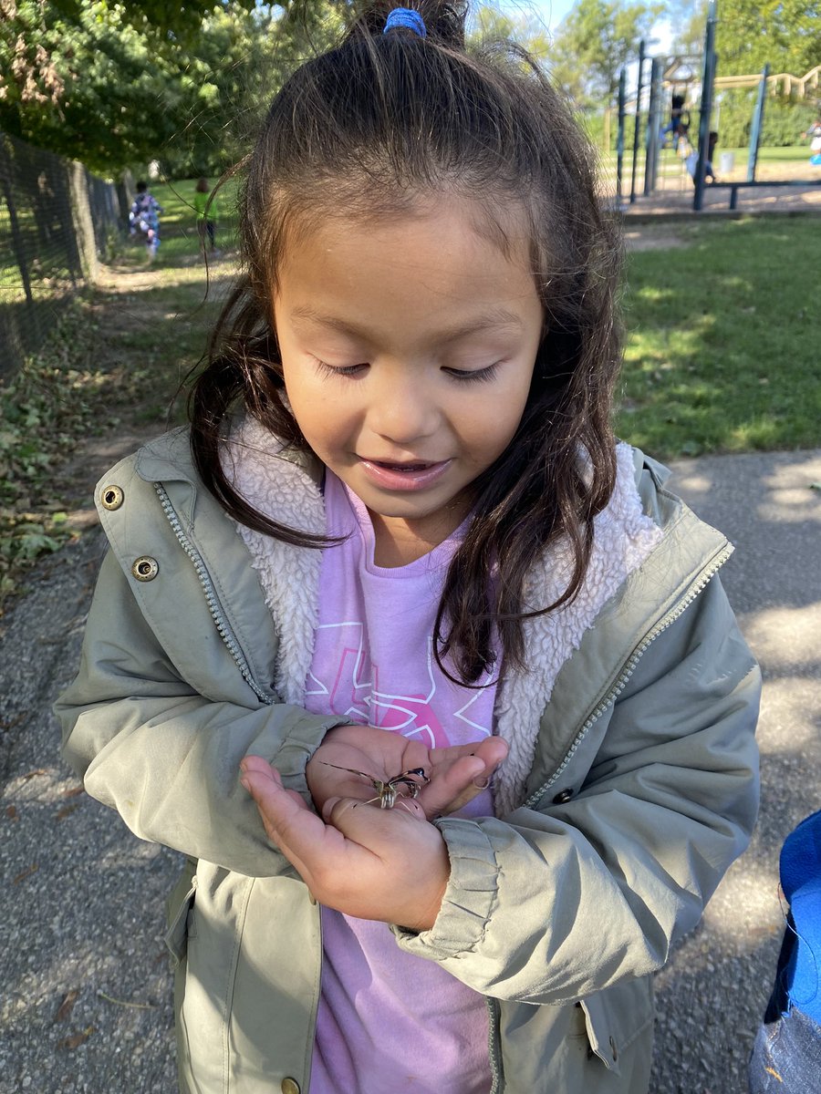 MrsJessCosman's tweet photo. First graders observed the life cycle of a butterfly. We watched caterpillars form chrysalises and then become butterflies. Today, we released our butterflies outside to live in their natural habitat. #ic2223 #onlyatIC #ICallthetime https://t.co/S8bOimCFpA