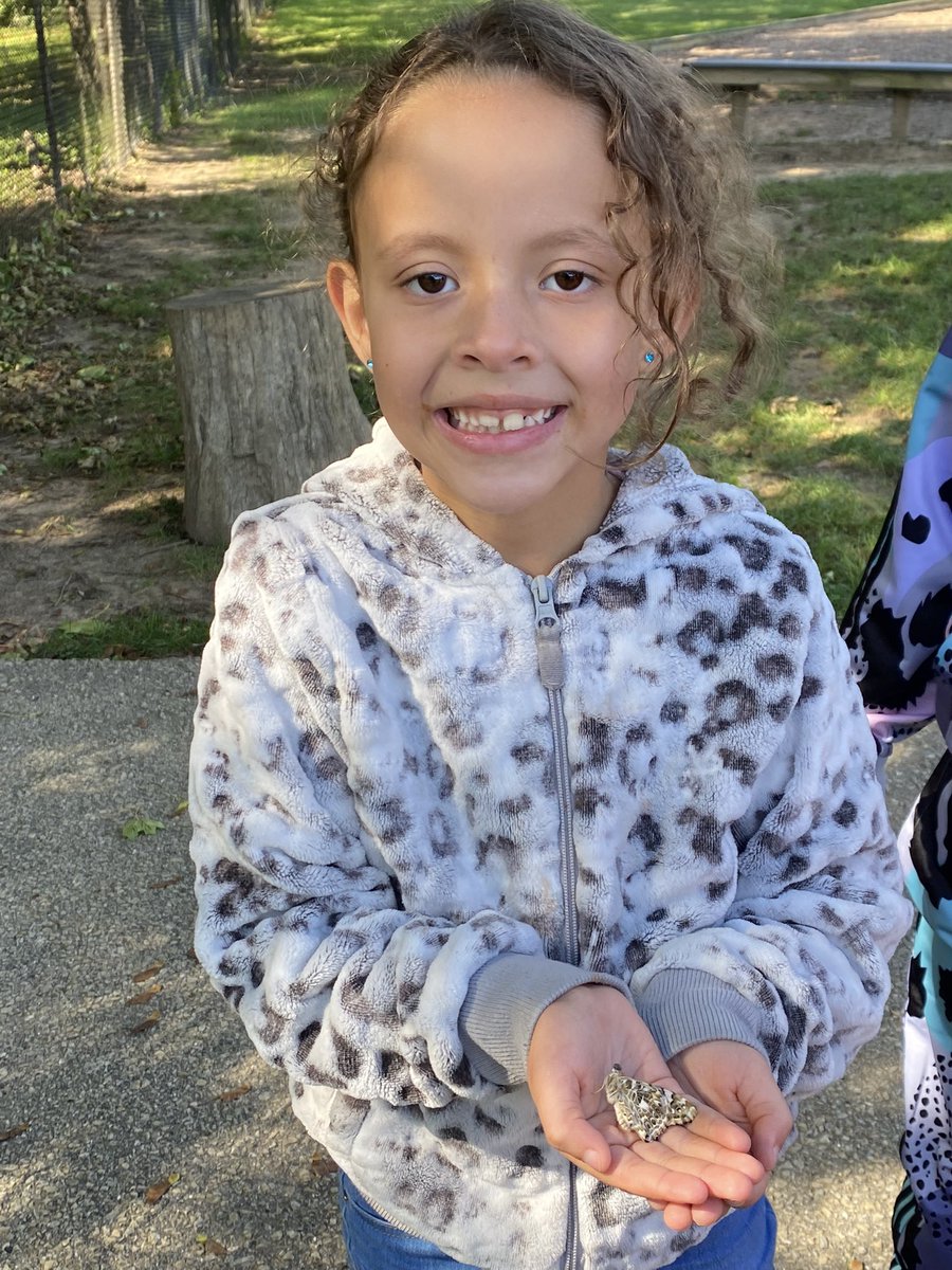 MrsJessCosman's tweet photo. First graders observed the life cycle of a butterfly. We watched caterpillars form chrysalises and then become butterflies. Today, we released our butterflies outside to live in their natural habitat. #ic2223 #onlyatIC #ICallthetime https://t.co/S8bOimCFpA
