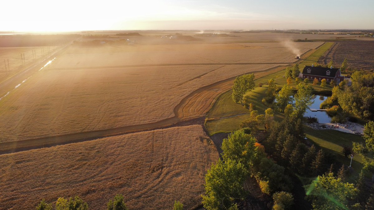 Little bit of harvest golden hour action with the drone for y’all