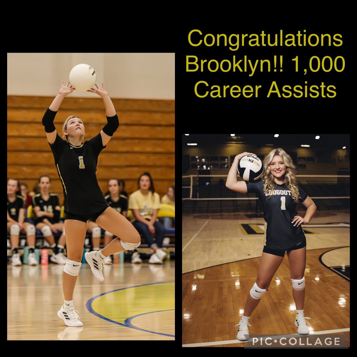 LoogooteeVball's tweet photo. Congratulations to Senior @b1summers on achieving 1,000 Career Assist tonight. We’re so proud of you!! https://t.co/GkGCJwaNCn