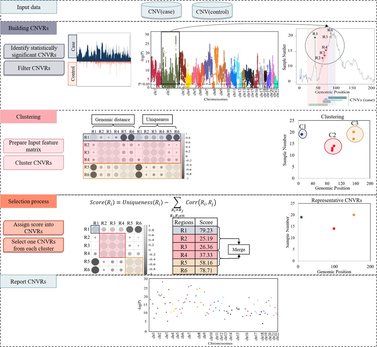 HamidRokny's tweet image. Very happy to share my PhD student&apos;s new paper, PeakCNV, a new AI-based method to identify candidate CNVs in whole genome/exome, published in CSBJ.
Read more here: doi.org/10.1016/j.csbj…

@nigelhlovell, @amin_beheshti, @AliAfrasiabi12
@TyreeIHealthE
 
 #BioMedEng #UNSWscientia
