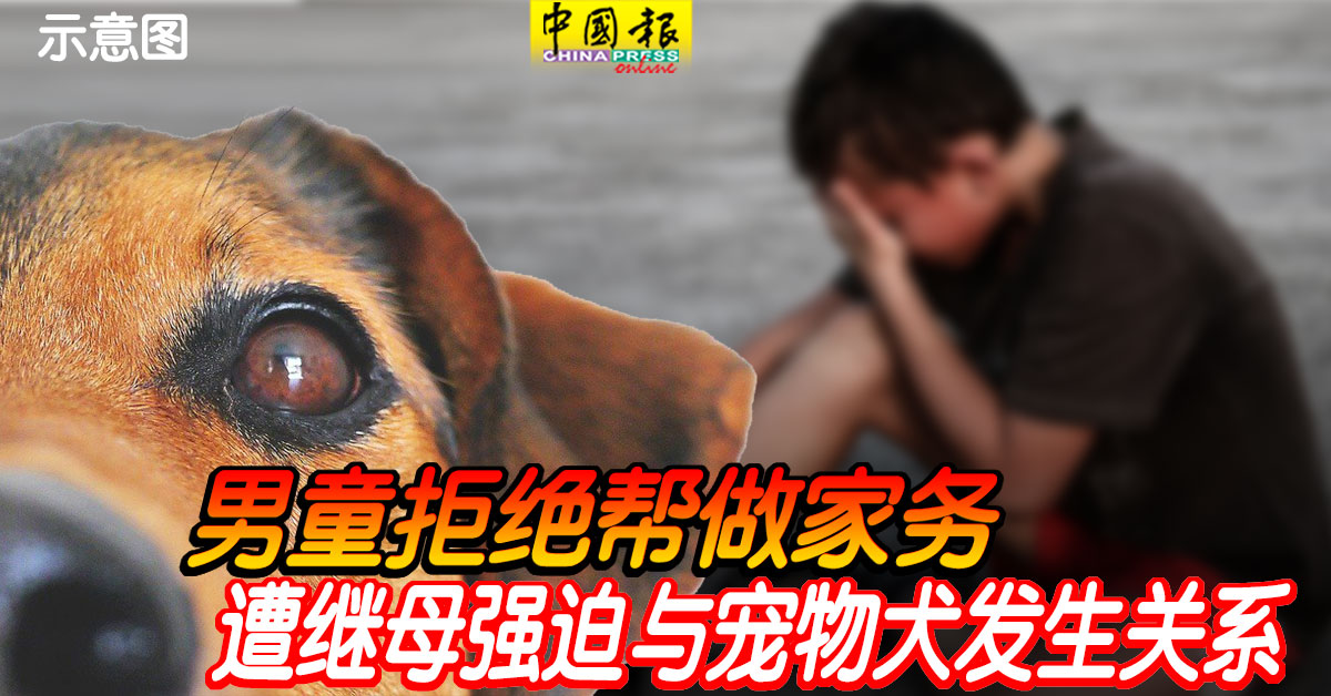宠物犬 Twitter Search Twitter 宠物犬 Twitter Search Twitter