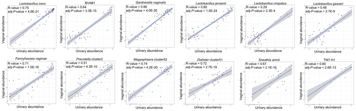 IMD_Journal's tweet photo. Gregory A. Buck et al. clarified the similarity between paired urogenital and vaginal microbiomes, illustrated the ability to accurately infer the vaginal microbiome from the urogenital microbiome, and provided a strategy to perform these analyses.
https://t.co/WDT4YaFunD https://t.co/GZf6TbObus