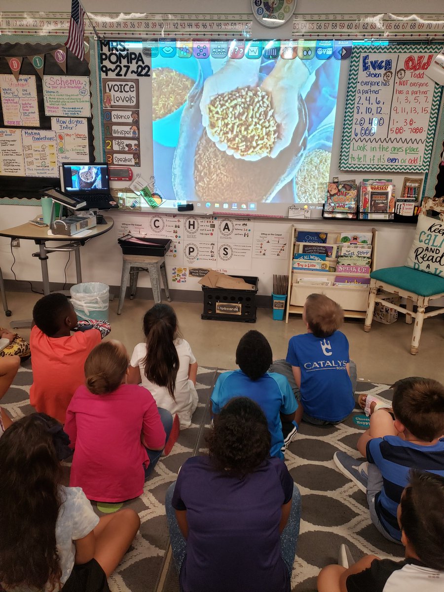 mrs_pompaclass's tweet photo. Our class has partnered with @TexasFarmBureau to attend virtual field trips to help with agriculture literacy. Today was our first "field trip" and we learned all about horses from James and his family in Beeville, TX. ππ΄π #Pompa2ndgrade #TraditionTitans #FarmFromSchool https://t.co/LtfARsKQfa