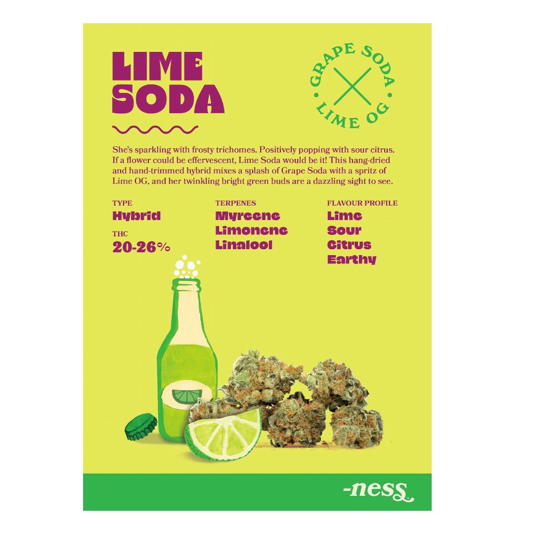 SummitCanCo's tweet photo. Lime Soda is an indica dominant hybrid strain (70% indica/30% sativa) created through crossing the delicious Grape Soda X Lime OG strains. 

#limesoda #halfounce #indica #dominant #hybrid #lime #rich #grape #lemon #sour #earthy #fernie #revelstoke #summitcanco @exploreyourness https://t.co/hr3bYBVN8H