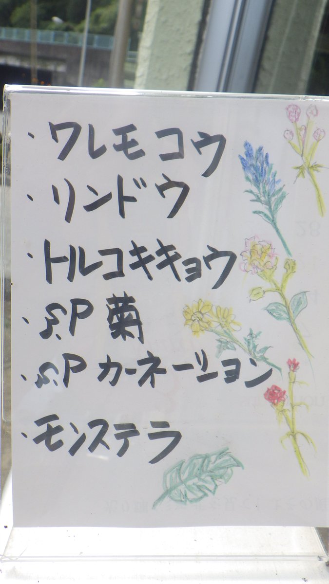 真鶴道路 普通車回数通行券 58枚 Latex Ba