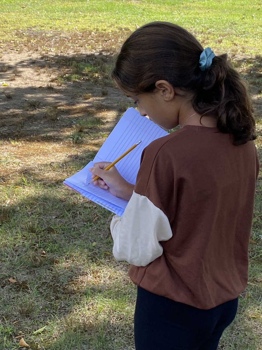 Alison Corcoran tweet media