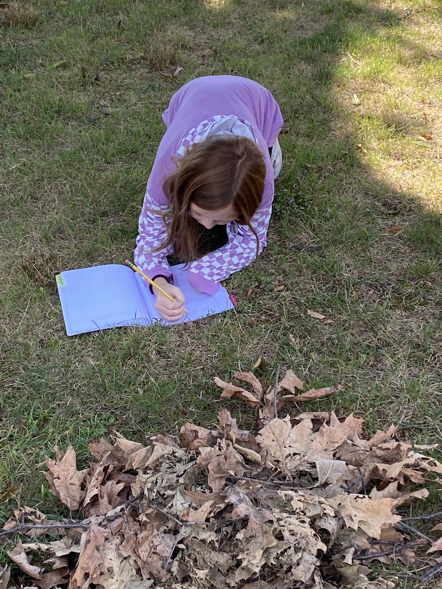 Alison Corcoran tweet media