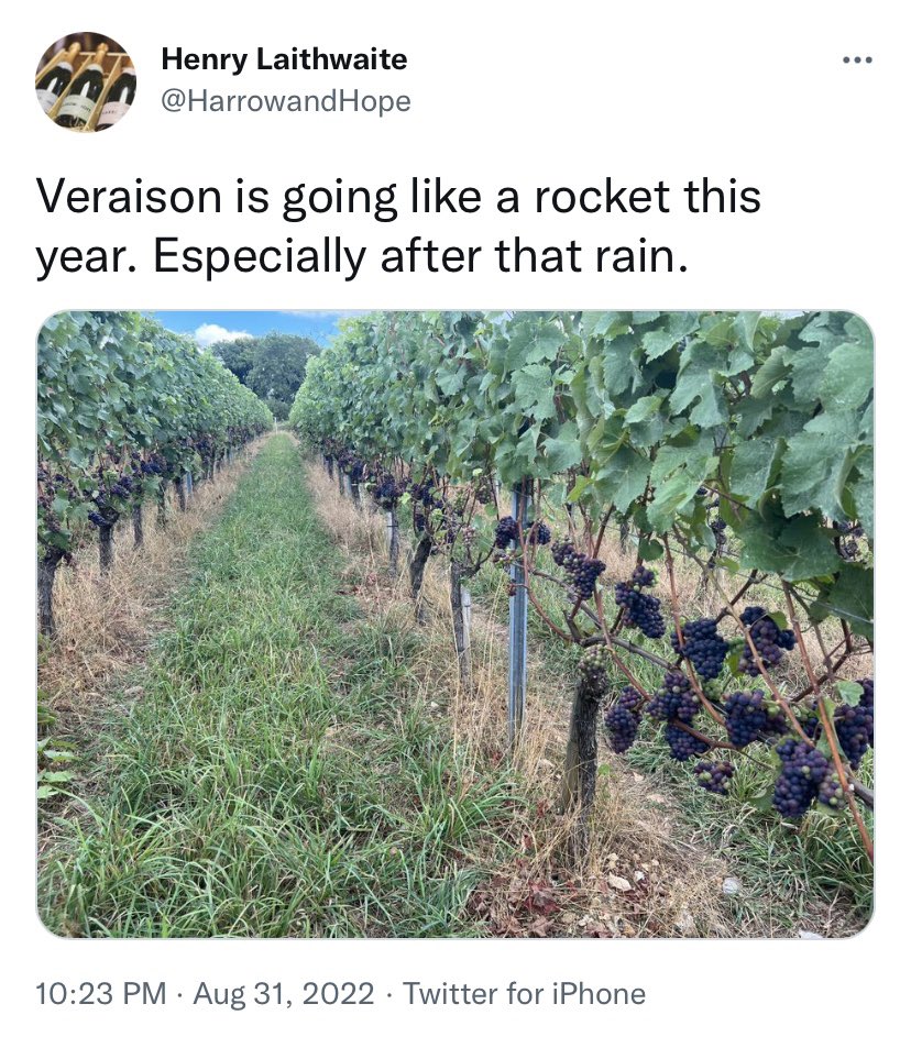 🌏 The👁Onus Is On👁Us🌍 tweet media