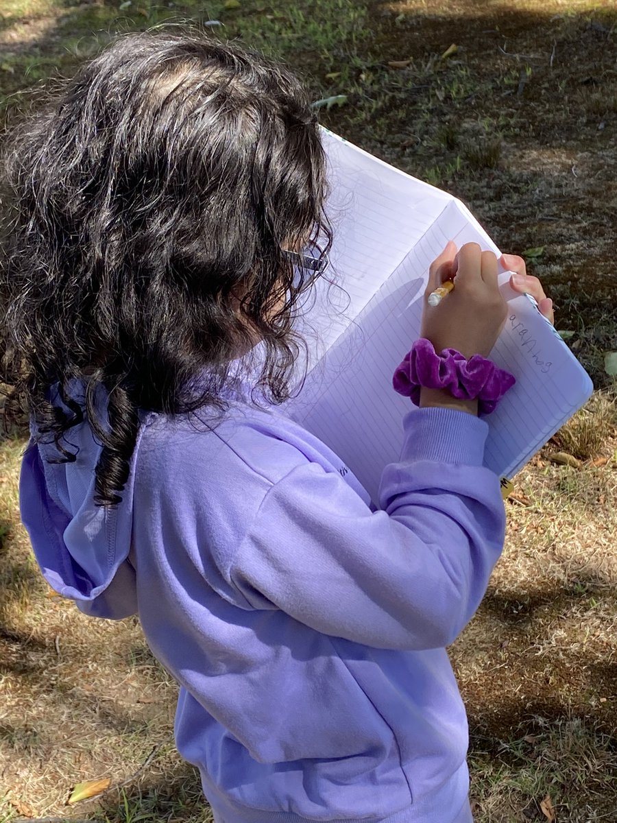 Alison Corcoran tweet media