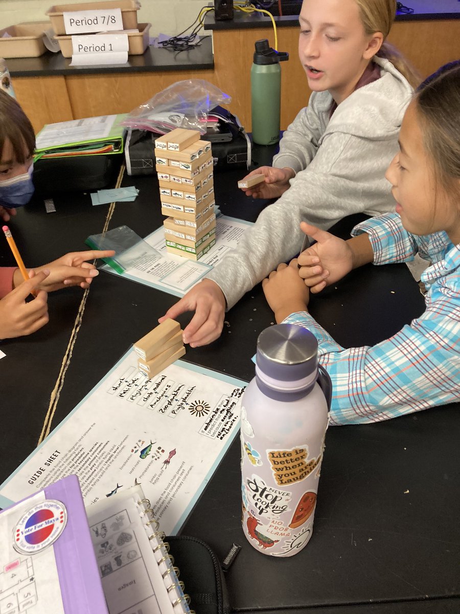 6th graders <a href="/CatonsvilleMS/">Catonsville Middle</a> use food chain Jenga as a dynamic model to explain how interactions between different trophic levels and abiotic factors impact energy and matter flow through an ecosystem. <a href="/sfanshaw/">Stephanie Fanshaw</a> #CMSgameon <a href="/BCPSSci/">BCPS Science Office</a>