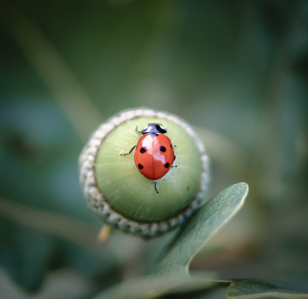 Jane Doe®️WeThePeople tweet media