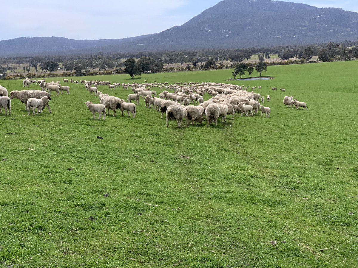 Charles de Fegely tweet media