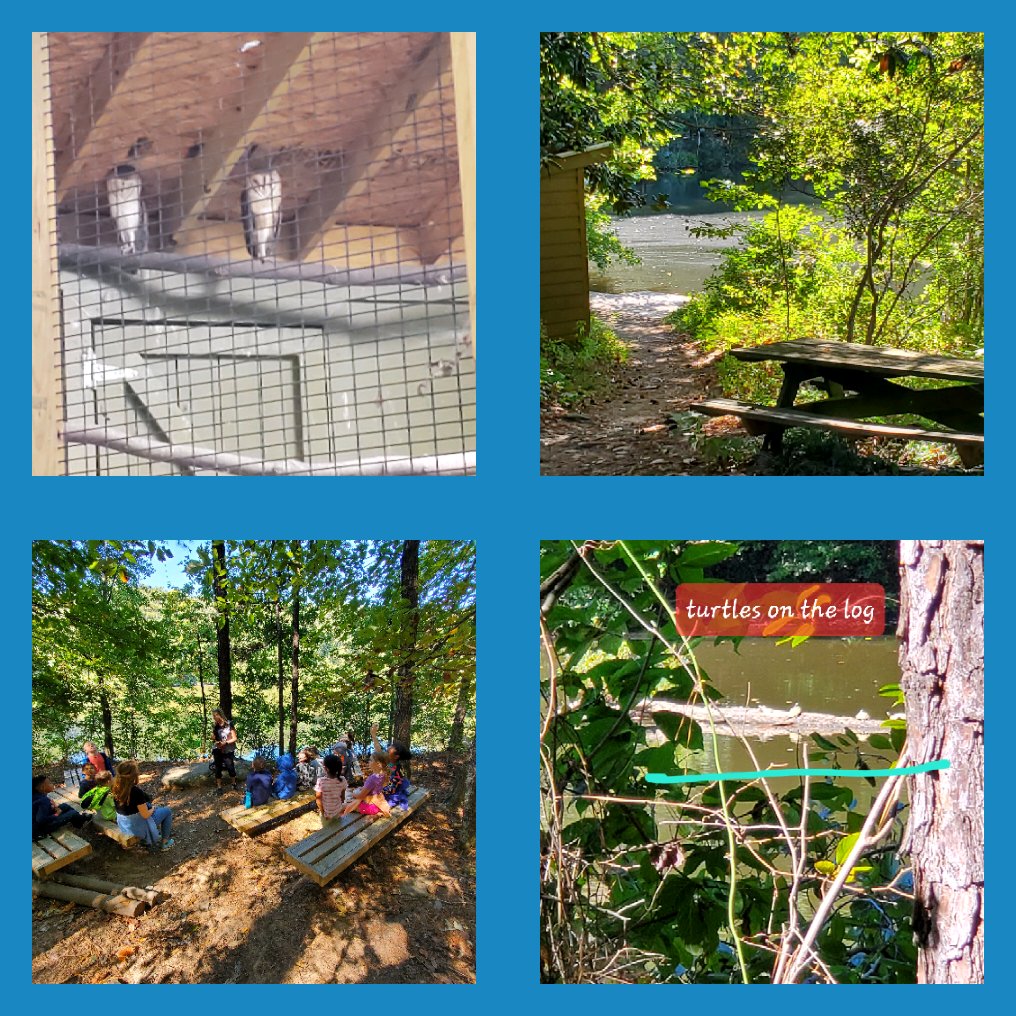 Amanda Baldé (@baldeamanda) on Twitter photo More photos from our field trip. We got to hike the Etowah trail just like the Creek Native Americans!!! Such a cool experience. <a href="/andylallison/">Andy L. Allison</a> <a href="/MrsAlhadeff/">Karin Alhadeff</a> <a href="/SweetAppleES/">Sweet Apple Elem</a> More photos from our field trip. We got to hike the Etowah trail just like the Creek Native Americans!!! Such a cool experience. <a href="/andylallison/">Andy L. Allison</a> <a href="/MrsAlhadeff/">Karin Alhadeff</a> <a href="/SweetAppleES/">Sweet Apple Elem</a>