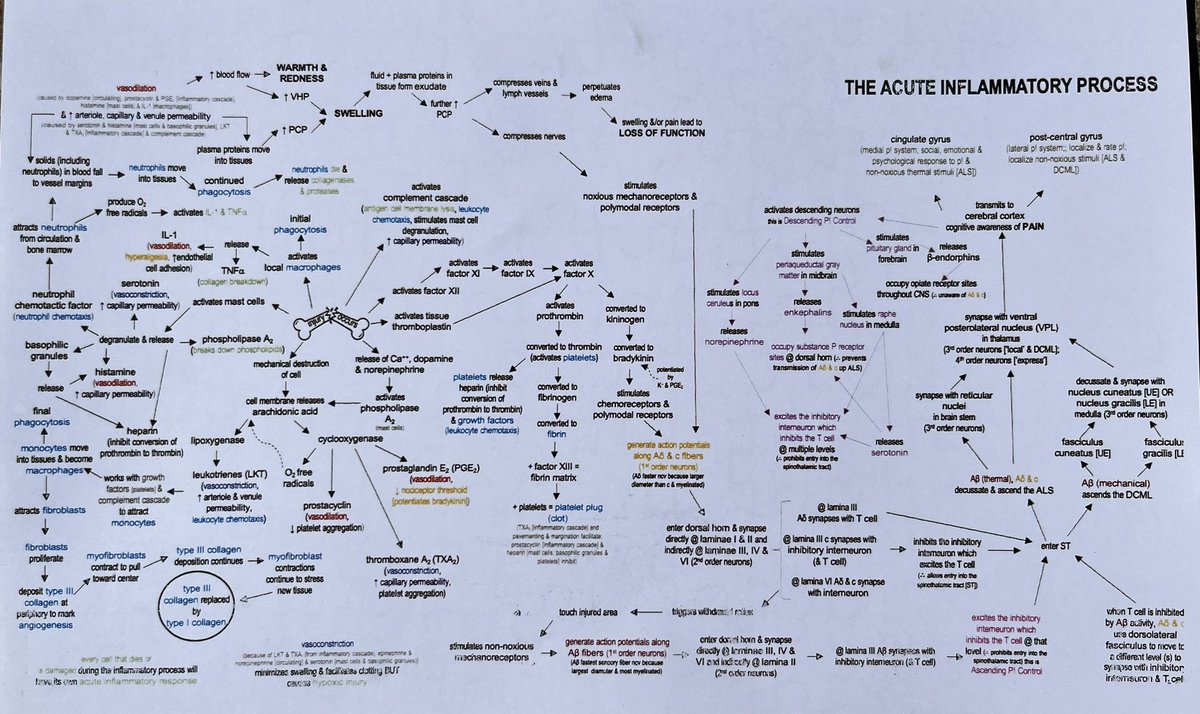 Deidre Leaver-Dunn tweet media