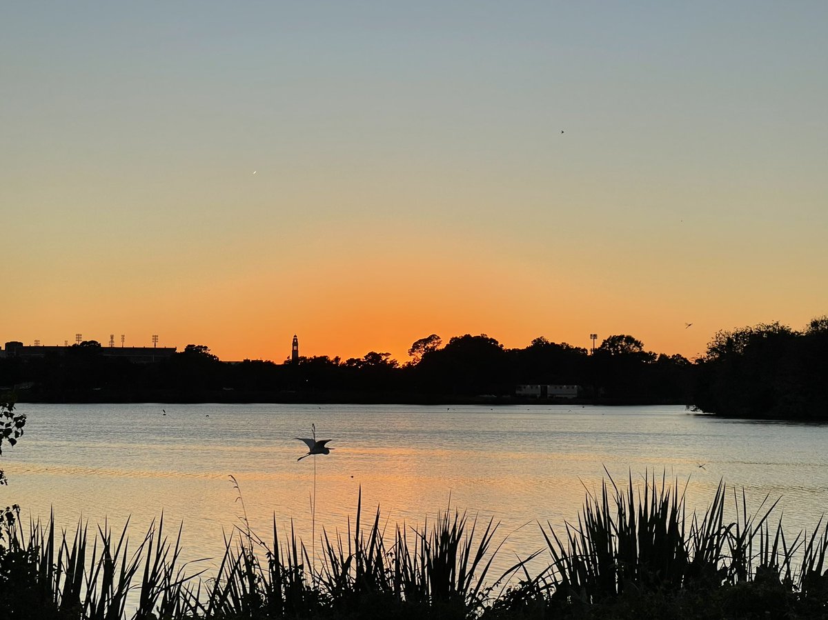 telhiard's tweet photo. Fly fly away #sunset #lsulakes #onlylouisiana #tuesday https://t.co/CRyRS7oD0S