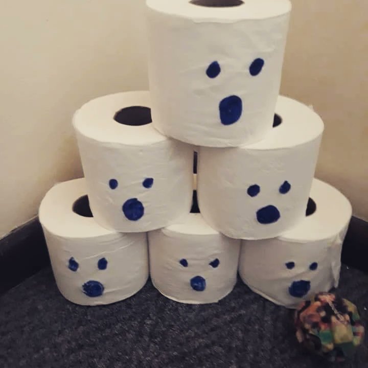 mamma_fun's tweet photo. As we enter Halloween season let me share some of our annual favourites...
Ghost bowling
This one is easy to set up.
Draw ghost faces on some toilet rolls and have your child use a soccer ball to knock them down.
#funmammasablog #halloweencrafts #Halloween #samomsblog https://t.co/lOLnVblDXo