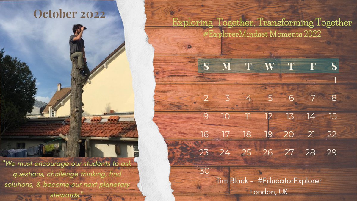 Danielle Zélin - Language Mood English Club tweet media