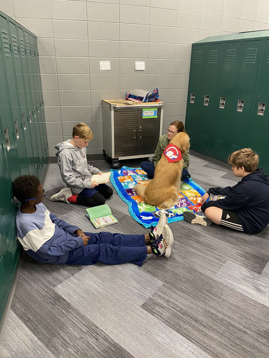 Amanda Webster tweet media